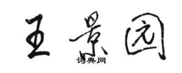 骆恒光王景园行书个性签名怎么写