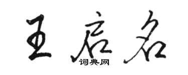骆恒光王启名行书个性签名怎么写