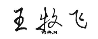 骆恒光王牧飞行书个性签名怎么写