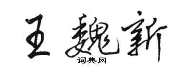 骆恒光王魏新行书个性签名怎么写
