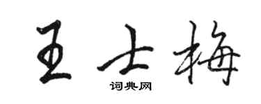 骆恒光王士梅行书个性签名怎么写