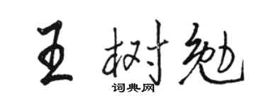 骆恒光王树勉行书个性签名怎么写