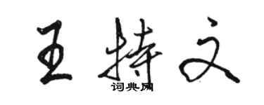 骆恒光王特文行书个性签名怎么写