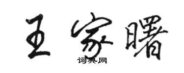 骆恒光王家曙行书个性签名怎么写