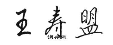 骆恒光王寿盟行书个性签名怎么写
