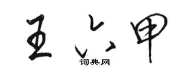 骆恒光王六甲行书个性签名怎么写