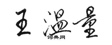 骆恒光王温量行书个性签名怎么写