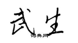王正良武生行书个性签名怎么写
