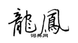 王正良龙凤行书个性签名怎么写