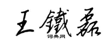 王正良王铁磊行书个性签名怎么写