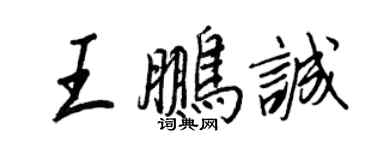 王正良王鹏诚行书个性签名怎么写