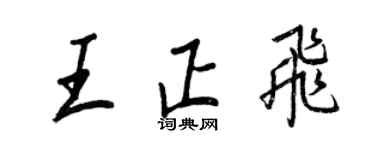 王正良王正飞行书个性签名怎么写