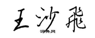 王正良王沙飞行书个性签名怎么写