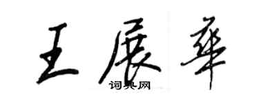 王正良王展华行书个性签名怎么写