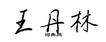 王正良王丹林行书个性签名怎么写