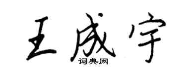 王正良王成宇行书个性签名怎么写