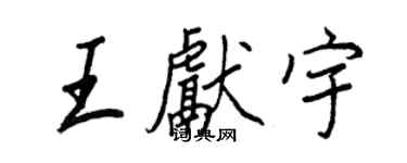 王正良王献宇行书个性签名怎么写