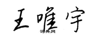 王正良王唯宇行书个性签名怎么写