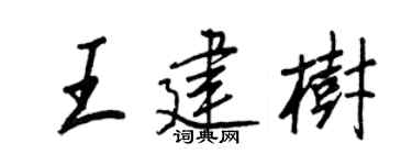 王正良王建树行书个性签名怎么写