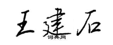 王正良王建石行书个性签名怎么写