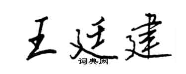 王正良王廷建行书个性签名怎么写