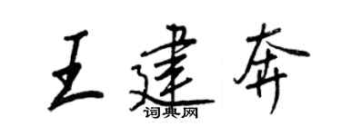 王正良王建奔行书个性签名怎么写