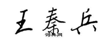 王正良王秦兵行书个性签名怎么写
