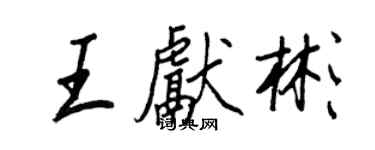 王正良王献彬行书个性签名怎么写