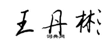 王正良王丹彬行书个性签名怎么写