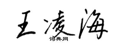 王正良王凌海行书个性签名怎么写