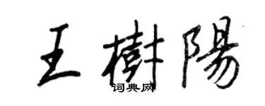 王正良王树阳行书个性签名怎么写