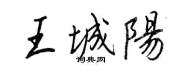王正良王城阳行书个性签名怎么写