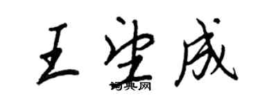 王正良王望成行书个性签名怎么写