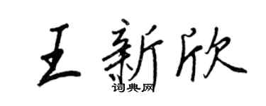 王正良王新欣行书个性签名怎么写