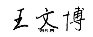 王正良王文博行书个性签名怎么写