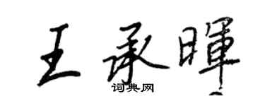 王正良王承晖行书个性签名怎么写
