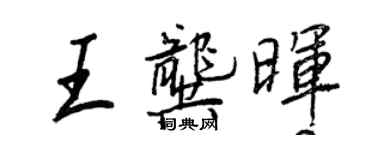 王正良王龚晖行书个性签名怎么写