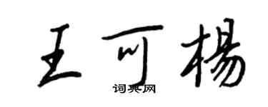 王正良王可杨行书个性签名怎么写