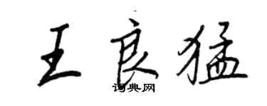 王正良王良猛行书个性签名怎么写