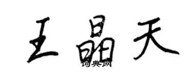 王正良王晶天行书个性签名怎么写