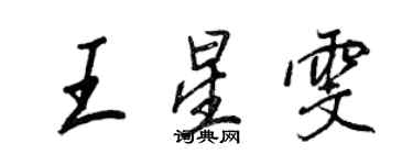 王正良王星雯行书个性签名怎么写