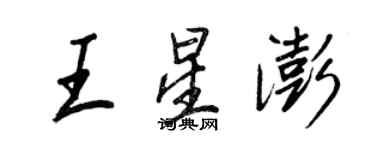 王正良王星澎行书个性签名怎么写