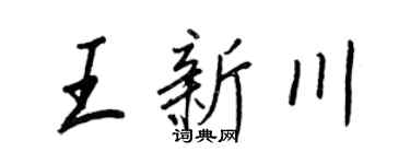 王正良王新川行书个性签名怎么写