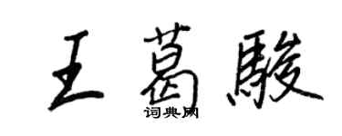 王正良王葛骏行书个性签名怎么写