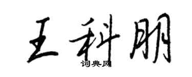 王正良王科朋行书个性签名怎么写