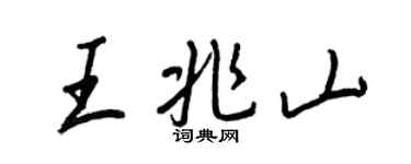 王正良王兆山行书个性签名怎么写