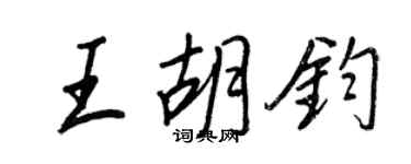 王正良王胡钧行书个性签名怎么写