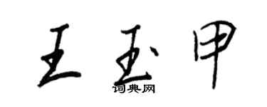 王正良王玉甲行书个性签名怎么写