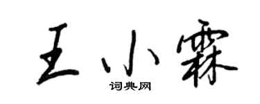 王正良王小霖行书个性签名怎么写