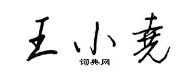 王正良王小尧行书个性签名怎么写